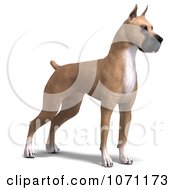 Clipart 3d Fawn Great Dane Dog Standing Royalty Free CGI Illustration by Ralf61 #COLLC1071173-0172