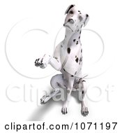 Clipart 3d Dalmatian Dog Reaching Out With A Paw Royalty Free CGI Illustration by Ralf61