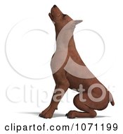 Clipart 3d Miniature Pinscher Dog Sitting Royalty Free CGI Illustration by Ralf61