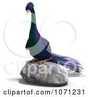 Clipart 3d Purple Peacock On A Rock Royalty Free CGI Illustration