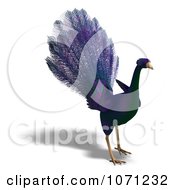 Clipart 3d Purple Peacock 2 Royalty Free CGI Illustration