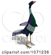 Clipart 3d Purple Peacock 5 Royalty Free CGI Illustration
