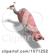 Clipart 3d Female Peahen Peacock 7 Royalty Free CGI Illustration by Ralf61