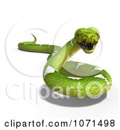 Clipart 3d Green Python Snake 1 Royalty Free CGI Illustration by Ralf61 #COLLC1071498-0172
