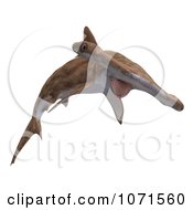 Clipart 3d Brown Hammerhead Shark 4 Royalty Free CGI Illustration
