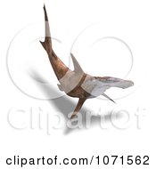 Clipart 3d Brown Hammerhead Shark 2 Royalty Free CGI Illustration