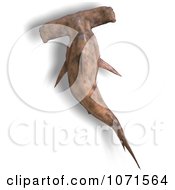 Clipart 3d Brown Hammerhead Shark 8 Royalty Free CGI Illustration