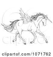 Poster, Art Print Of Black And White Sketched Fantasy Winged Unicorn Horse