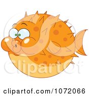 Poster, Art Print Of Orange Blow Puffer Fish