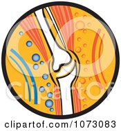 Clipart Knee Joint With Muscle Tissue In An Orange Circle Royalty Free Vector Illustration