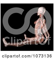 Poster, Art Print Of 3d Female Skeleton In A Seated Yoga Position