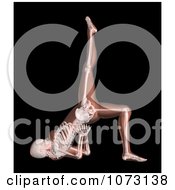Clipart 3d Female Skeleton In A Leg Lift Yoga Position Royalty Free CGI Illustration