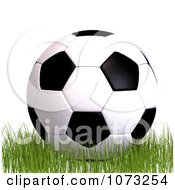 Clipart 3d Soccer Ball On Grass 1 Royalty Free CGI Illustration by Ralf61 #COLLC1073254-0172