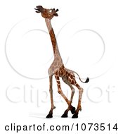 Clipart 3d African Giraffe Eating Royalty Free CGI Illustration by Ralf61