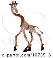 Clipart 3d Scared African Giraffe 3 Royalty Free CGI Illustration by Ralf61