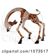 Clipart 3d Scared African Giraffe 4 Royalty Free CGI Illustration by Ralf61