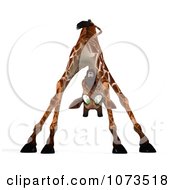 Clipart 3d Scared African Giraffe 5 Royalty Free CGI Illustration by Ralf61 #COLLC1073518-0172