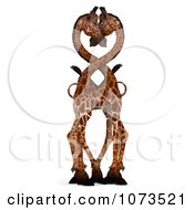 Clipart 3d African Giraffe Couple 1 Royalty Free CGI Illustration by Ralf61