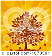 Poster, Art Print Of Fall Tree With Autumn Foliage Against Orange Flares