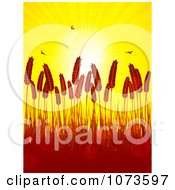 Clipart Silhouetted Wheat And Birds With Flares Against A Sunset Royalty Free Vector Illustration by elaineitalia