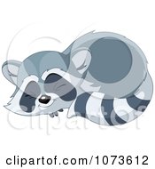 Poster, Art Print Of Cute Raccoon Sleeping In A Curled Up Position