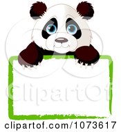 Poster, Art Print Of Cute Panda Looking Over A Green Sign