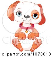 Poster, Art Print Of Cute Puppy Sitting And Begging
