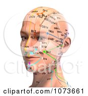 Clipart 3d Male Acupressure Chart Head 1 Royalty Free CGI Illustration by Ralf61