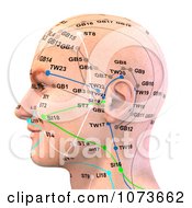 Clipart 3d Male Acupressure Chart Head 2 Royalty Free CGI Illustration by Ralf61 #COLLC1073662-0172