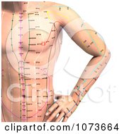 Clipart 3d Male Acupressure Acupuncture Upper Body Chart 1 Royalty Free CGI Illustration by Ralf61