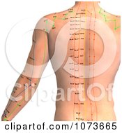 Clipart 3d Male Acupressure Acupuncture Upper Body Chart 4 Royalty Free CGI Illustration by Ralf61 #COLLC1073665-0172