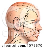 Clipart 3d Male Acupressure Chart Head 5 Royalty Free CGI Illustration by Ralf61