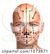 Clipart 3d Male Acupressure Chart Head 6 Royalty Free CGI Illustration by Ralf61