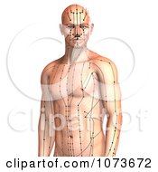 Clipart 3d Male Acupressure Acupuncture Upper Body Chart 2 Royalty Free CGI Illustration by Ralf61 #COLLC1073672-0172