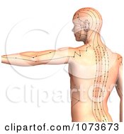 Clipart 3d Male Acupressure Acupuncture Upper Body Chart 5 Royalty Free CGI Illustration by Ralf61