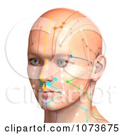 Clipart 3d Male Acupressure Chart Head 7 Royalty Free CGI Illustration by Ralf61