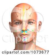 Clipart 3d Male Acupressure Chart Head 9 Royalty Free CGI Illustration by Ralf61