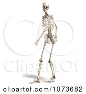 Clipart 3d Human Male Skeleton Walking 1 Royalty Free CGI Illustration