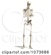 Clipart 3d Human Male Skeleton Thinking Royalty Free CGI Illustration
