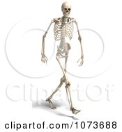 Clipart 3d Human Male Skeleton Walking 2 Royalty Free CGI Illustration