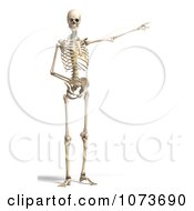 Clipart 3d Human Male Skeleton Pointing Royalty Free CGI Illustration by Ralf61 #COLLC1073690-0172
