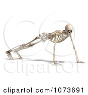 Clipart 3d Human Male Skeleton Doing Push Ups Royalty Free CGI Illustration by Ralf61 #COLLC1073691-0172