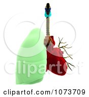 Clipart 3d Male Human Organs 2 Royalty Free CGI Illustration