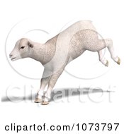 Clipart 3d White Lamb Sheep Jumping 2 Royalty Free CGI Illustration by Ralf61 #COLLC1073797-0172