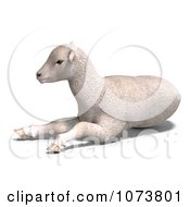 Clipart 3d White Lamb Sheep Resting 1 Royalty Free CGI Illustration by Ralf61 #COLLC1073801-0172