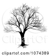 Poster, Art Print Of Silhouetted Black And White Bare Tree