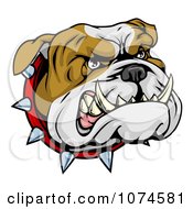 Poster, Art Print Of Aggressive Bulldog Face With A Spiked Collar
