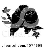 Clipart Two Black And White Love Birds Perched On A Branch Royalty Free Vector Illustration