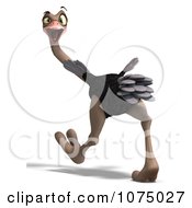 Clipart 3d Wild Ostrich Bird Walking 1 Royalty Free CGI Illustration by Ralf61 #COLLC1075027-0172