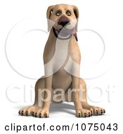 Clipart 3d Happy Yellow Lab Dog Sitting Royalty Free CGI Illustration by Ralf61 #COLLC1075043-0172